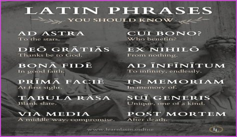 A Profile Of A Latin Beauty