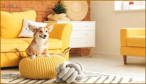 Your Ultimate Guide To Compadre Stadium: History, Events, And Directions